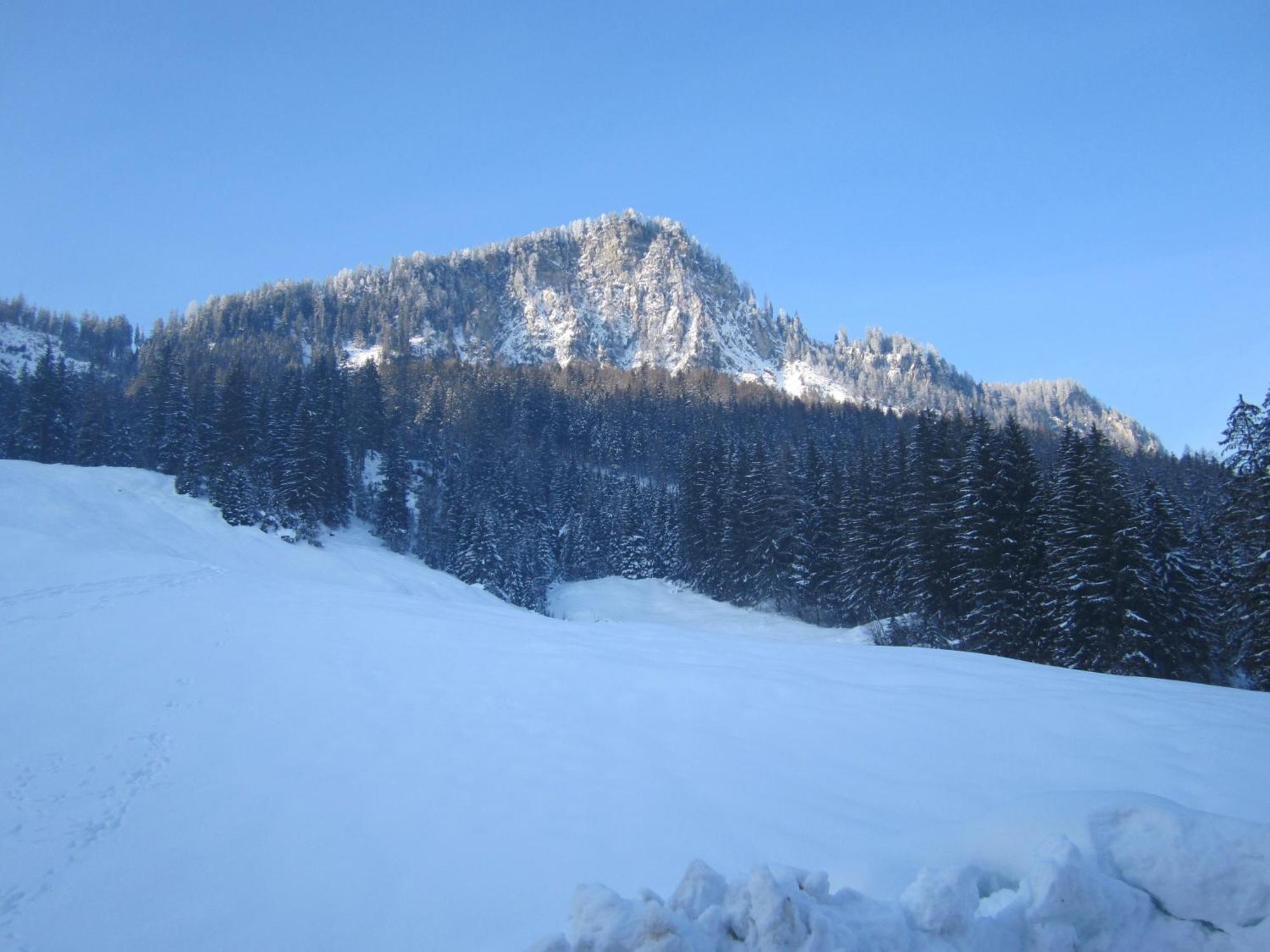 Oberschlassbergbauer Wald im Pinzgau Exterior photo